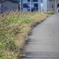 人がいます。