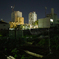 夜の菜園