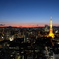 東京タワーと富士山