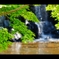 滝のある公園1