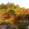 天龍寺の紅葉