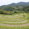 大山千枚田1