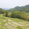 大山千枚田2
