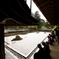龍安寺