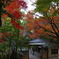 定光寺（愛知県瀬戸市）