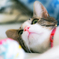 Nose of pink