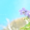 清明