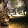 おねこさま②