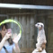 決めポーズ