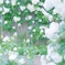 white world