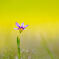 20140525_0239 2