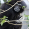 動物園にて　1