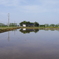 田んぼの中の風景