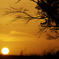 orange moment