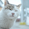 DxO Film Pack 練習2