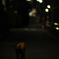 夜道