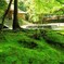 緑の庭園