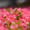 20140529_124724