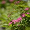 20140529_105906