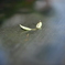 20140529_142139