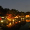 夜の紅葉