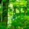 Uncle Green （現像版）