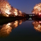 桜遊園