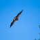 20131113_104108_K-5
