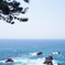 日本海