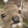 寄りすぎ