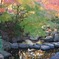 水面に映る紅葉