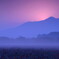 misty veil