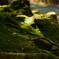 Moss green