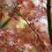 成田山新勝寺　その2
