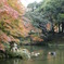 成田山新勝寺　その5