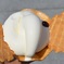 ソフトクリーム＊ゾウノハナソフトクリーム