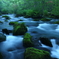 Green moss I