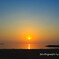 初夏の夕日