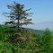 photo_3468662