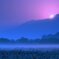 misty veil　Ⅱ