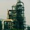 midori城