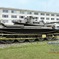 74式戦車 (OD色) その3