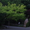 IMGP2848