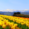 白山