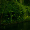 蛍　2008