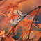 京の紅葉