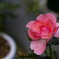 20080627_001