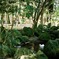 公園にて