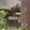 消化栓・・・