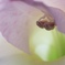 覗き見